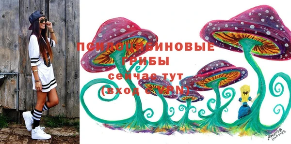 кокс Аркадак