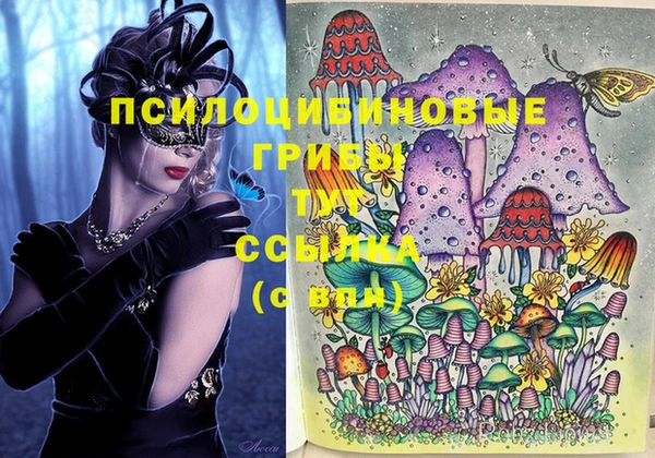кокс Аркадак